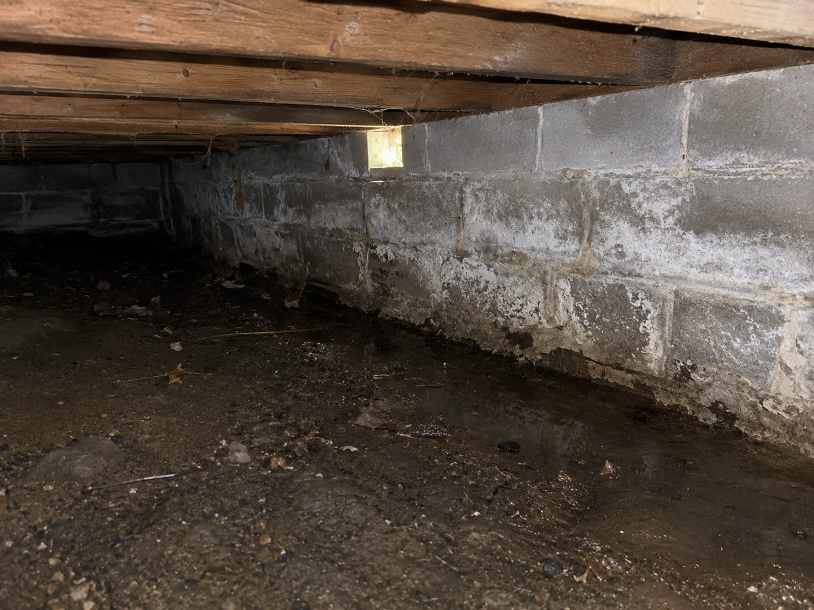 Dark low-clearance crawl space under a New England home showing damp soil, visible efflorescence on block walls, and a shallow uneven dirt floor