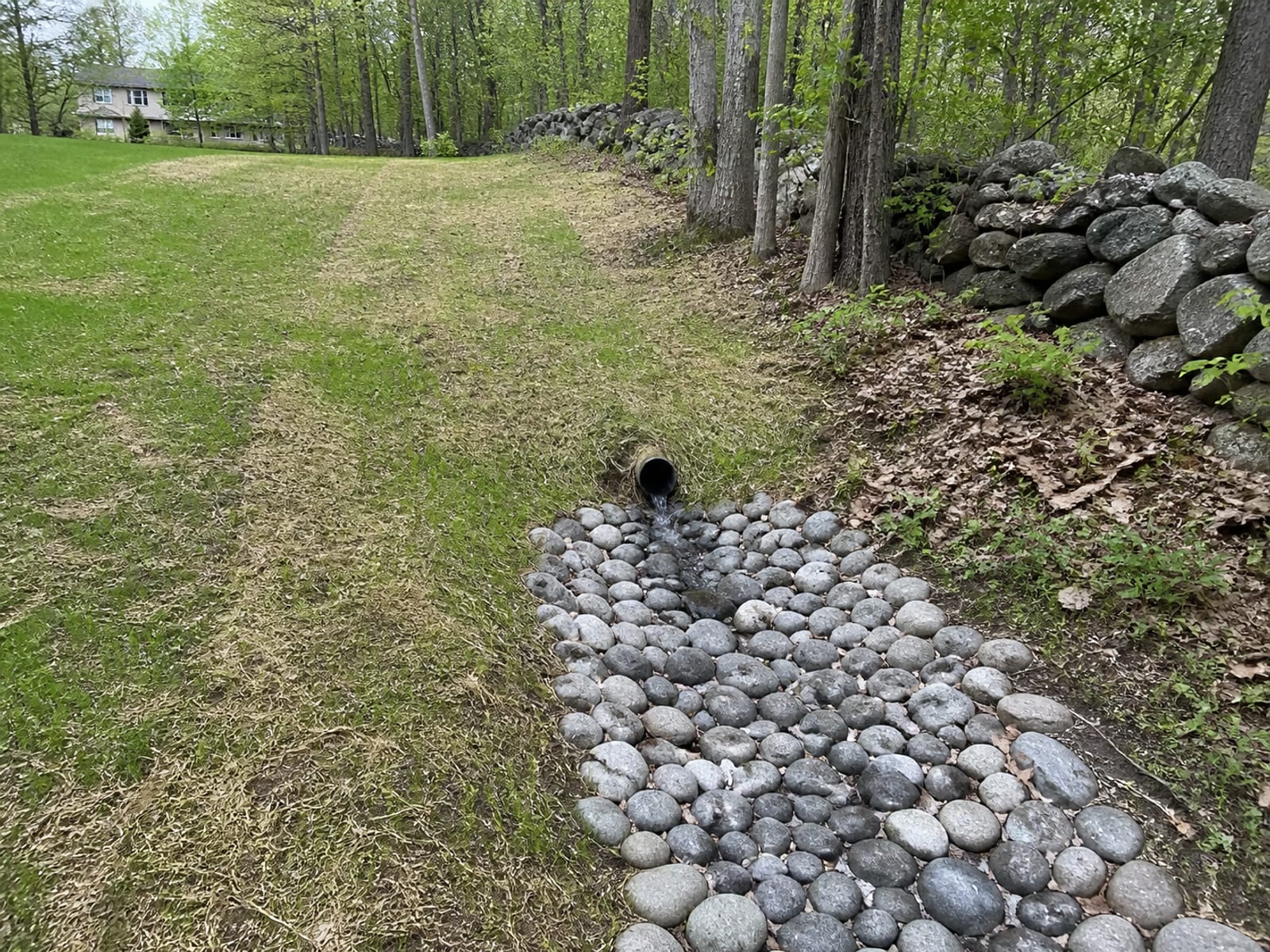 Drainage outlet discharging onto a stone splash apron at the edge of a lawn, with the trench line backfilled and seeded