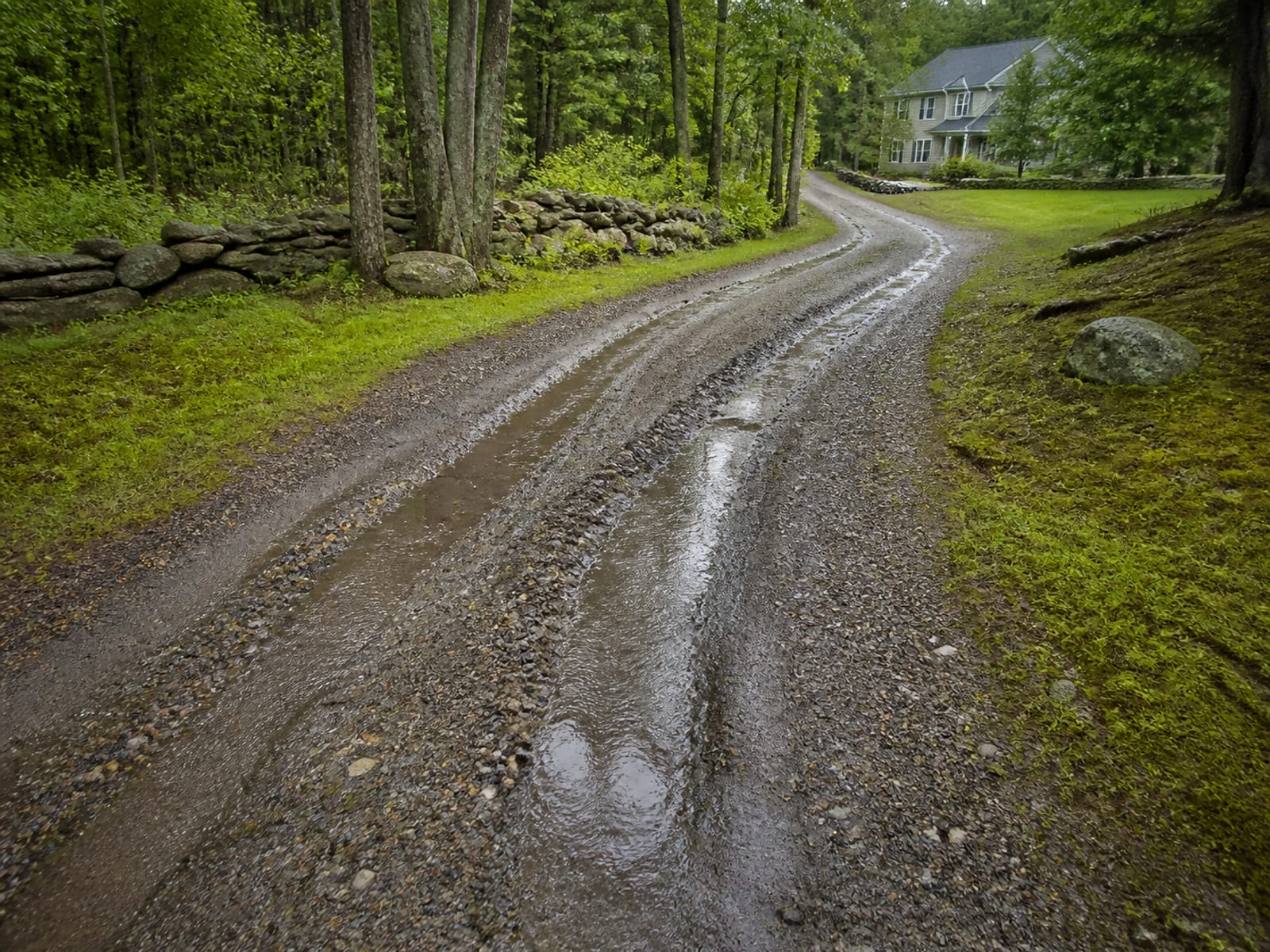 Long gravel driveway through woodland with deep wheel ruts, a flattened profile, and water standing in the low center after rain