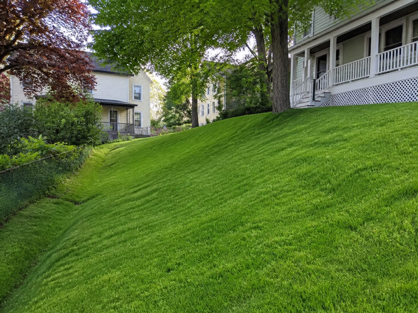 Residential slope with established grass cover a season after stabilization work, showing an intact surface and no visible channels or bare patches