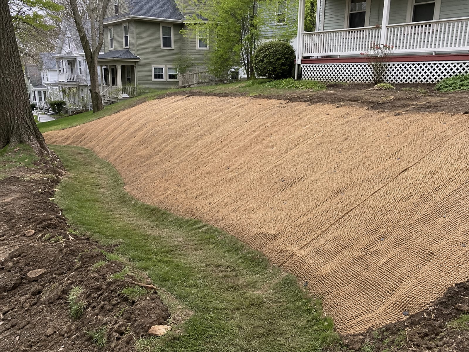 Reshaped residential slope covered with erosion control blanket pinned over seeded soil, with a shallow swale carrying runoff along the toe