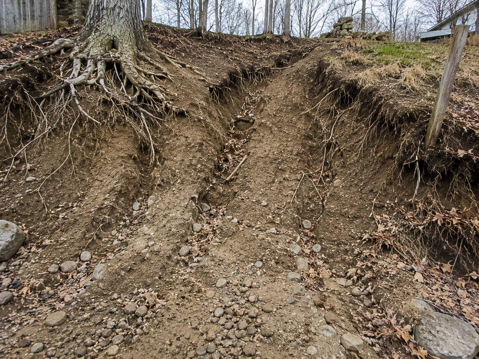 Exposed gully erosion on a residential backyard slope in Oxford CT with bare soil channels, exposed tree roots, and sediment deposit at the base