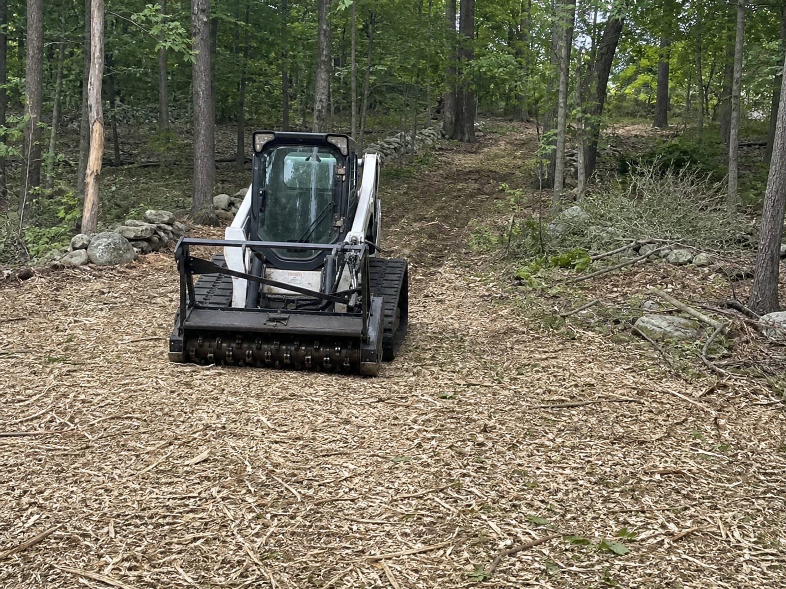 Compact track loader with a forestry mulching head parked at the edge of a mulched strip beneath a standing tree canopy, head lowered and still, shredded material spread on the ground ahead of it