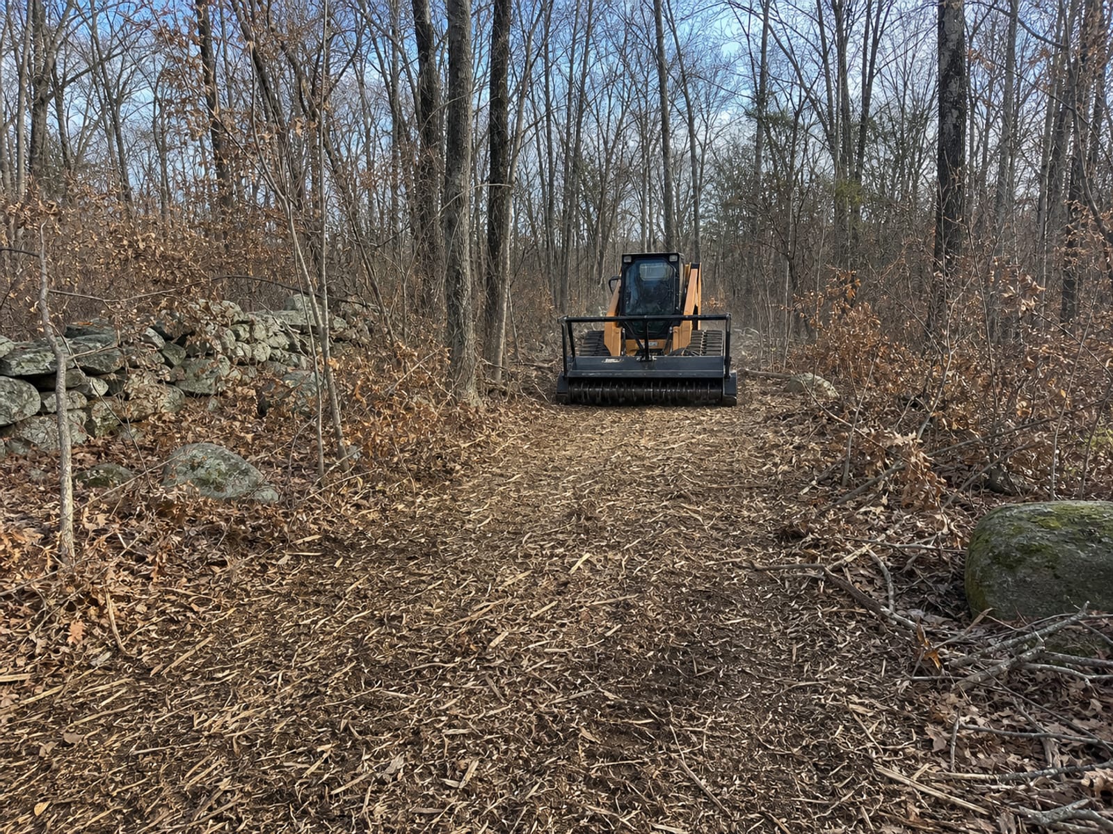 Compact track loader with a forestry mulching head parked at the open end of a mulched lane through standing brush on a wooded rural lot, head down and still