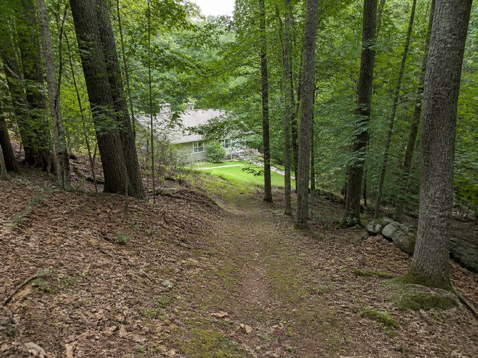 Sloping wooded back yard behind a rural house with no level ground, mature trees close to the house, and a worn path running downhill