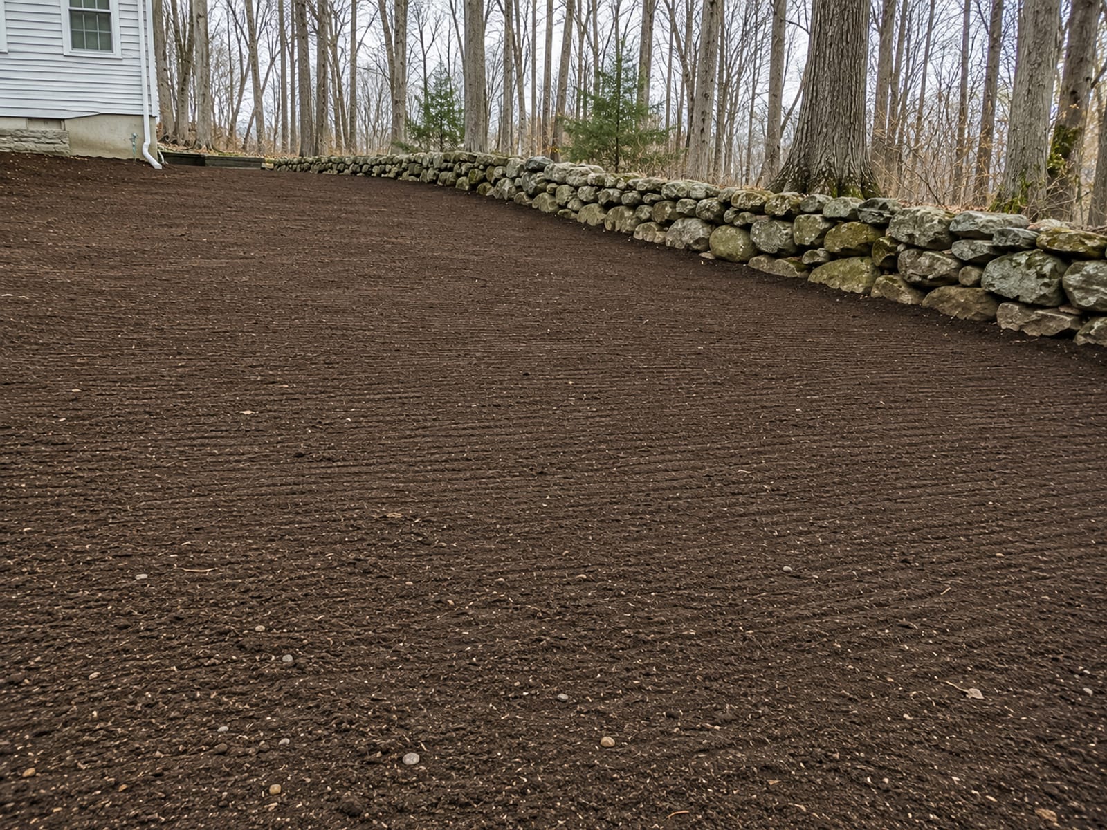 Freshly leveled residential yard in Oxford CT showing smooth compacted graded earth with raked topsoil surface and stone wall border ready for lawn seeding