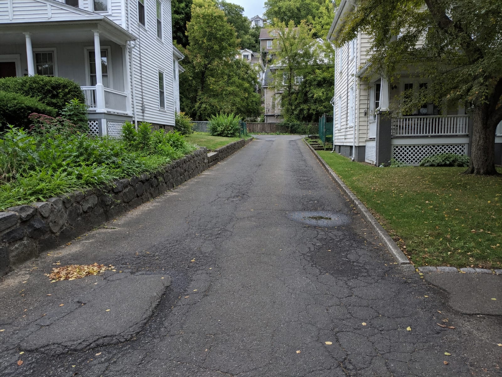 Older asphalt driveway with depressions along the wheel paths, cracking that has been patched before, and water standing in a low area
