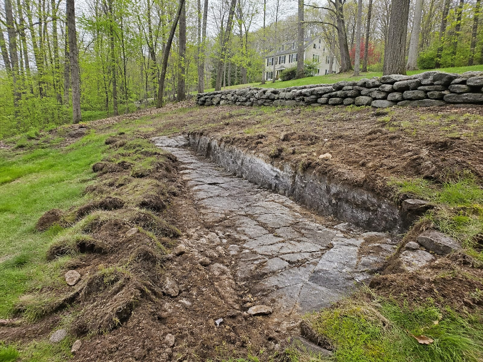Exposed bedrock ledge forming the floor and one wall of an excavation, with a shallow layer of soil above it and no visible underside