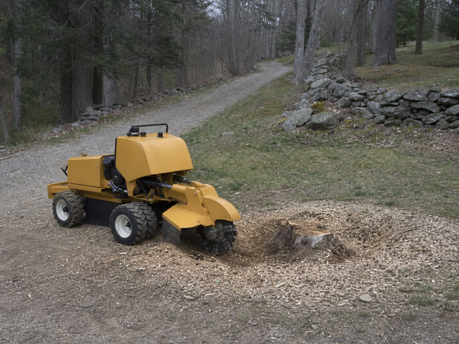 Self propelled stump cutter parked and idle beside a partly ground stump, cutter wheel lowered and still, pale wood chip heaped around the cutting area