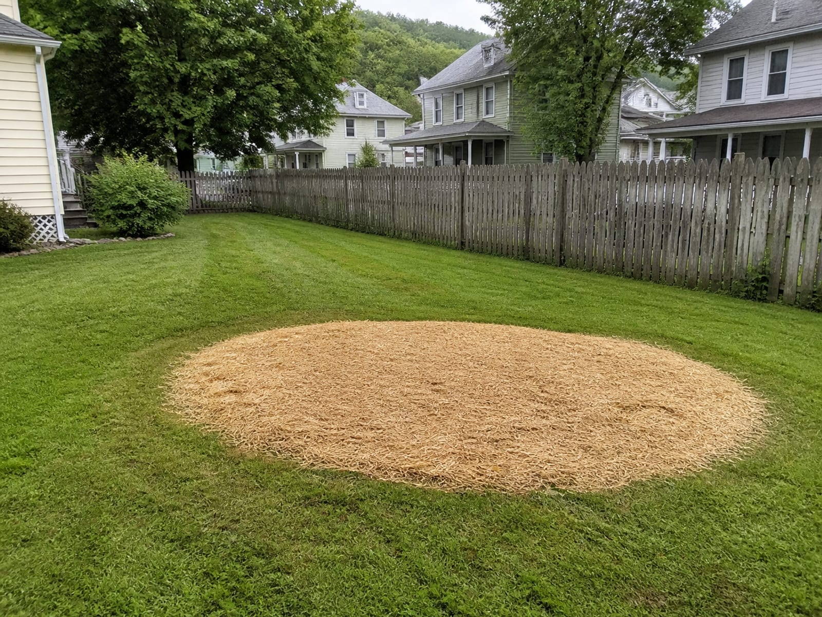 Former stump area filled with imported topsoil and freshly seeded under a light straw cover, blending into the surrounding lawn