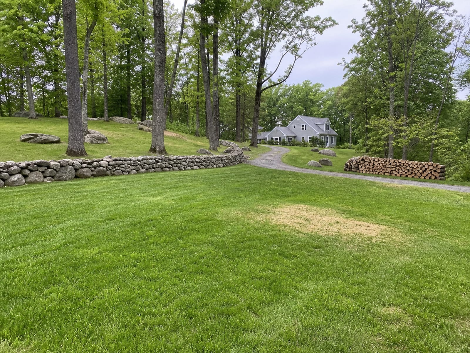 Rural yard after tree removal with brush chipped away, logs cut to length and stacked at the edge, and the ground raked clean