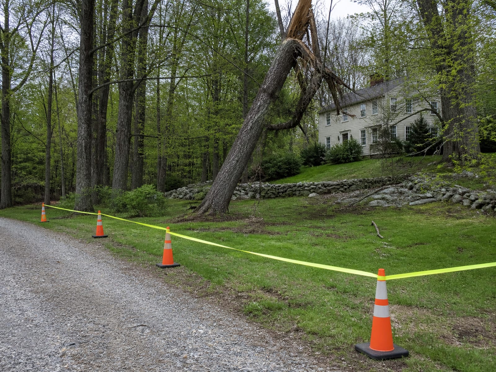 Cones and barrier tape marking an exclusion area on a driveway and lawn beneath a damaged tree, with vehicles moved clear