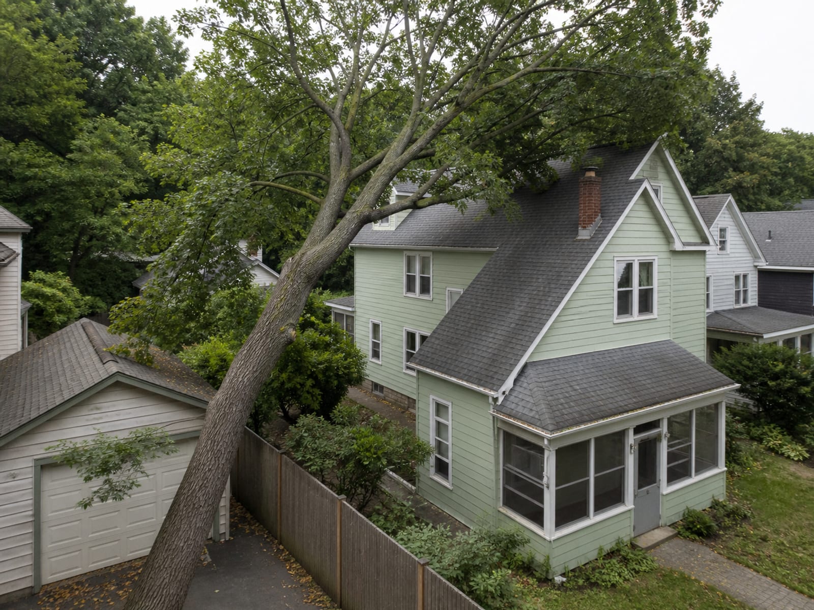 Large tree leaning toward the roof of a house on a narrow city lot, with a fence line and a neighboring garage close on the other side