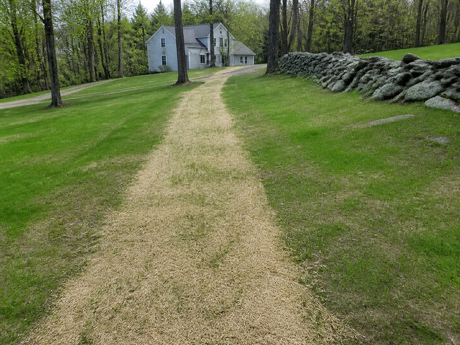 Backfilled trench line across a rural lawn with the surface restored and fresh seed and straw over the disturbed strip