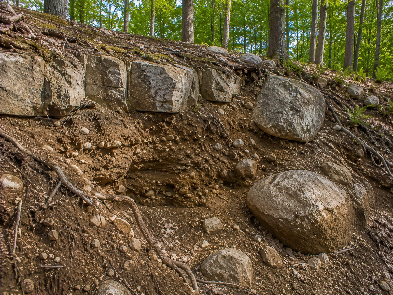 Exposed ledge rock outcropping and glacial boulder field on a sloped Connecticut residential lot illustrating challenging site conditions that affect excavation planning