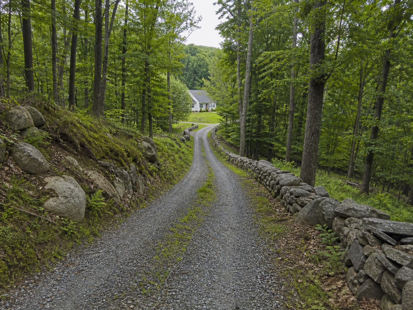 Tracked excavator being walked down a long gravel driveway through woodland toward a rural house, with trees close on both sides