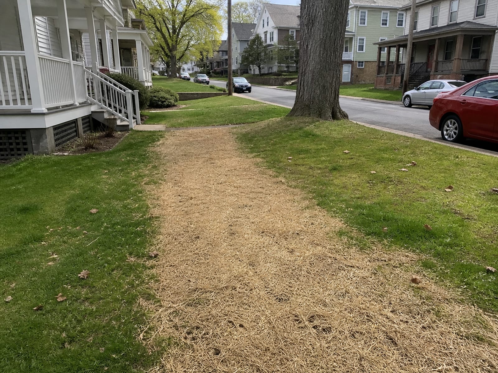 Backfilled and graded drain line across a lawn with fresh topsoil, seed, and straw over the trench strip, blending into the surrounding grass