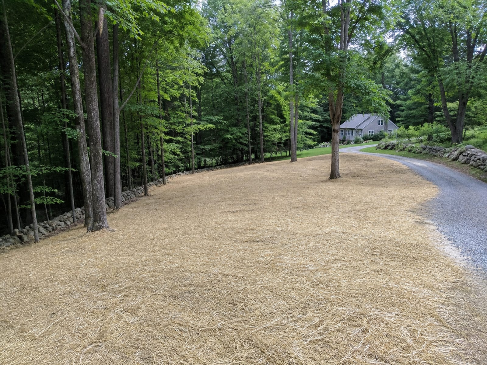 Finished clearing on a wooded rural property with mature retained trees standing along the boundary and straw over seeded ground inside the cleared area