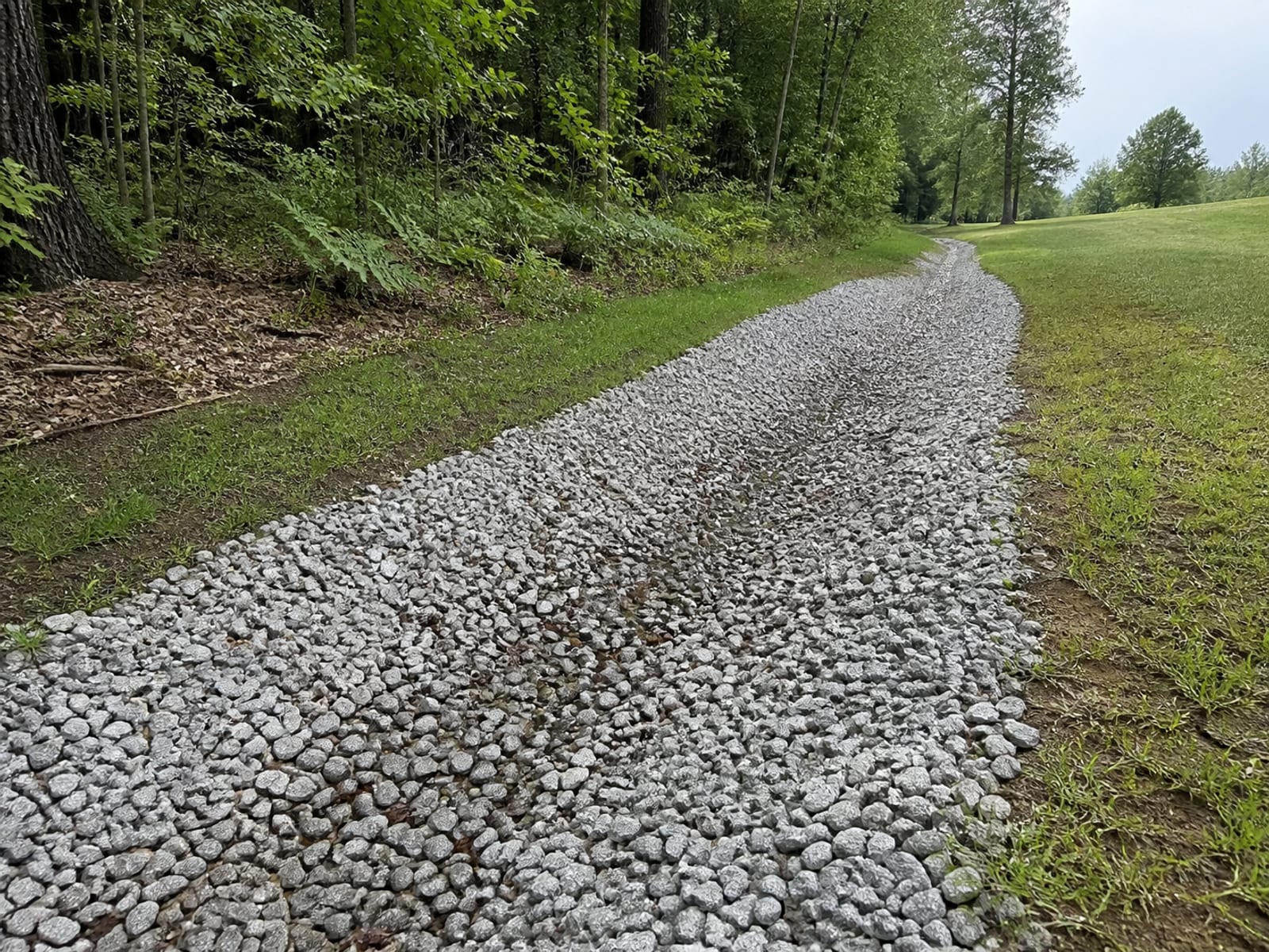 Shallow stone lined drainage swale following a gentle rural slope between a woodland edge and open grass