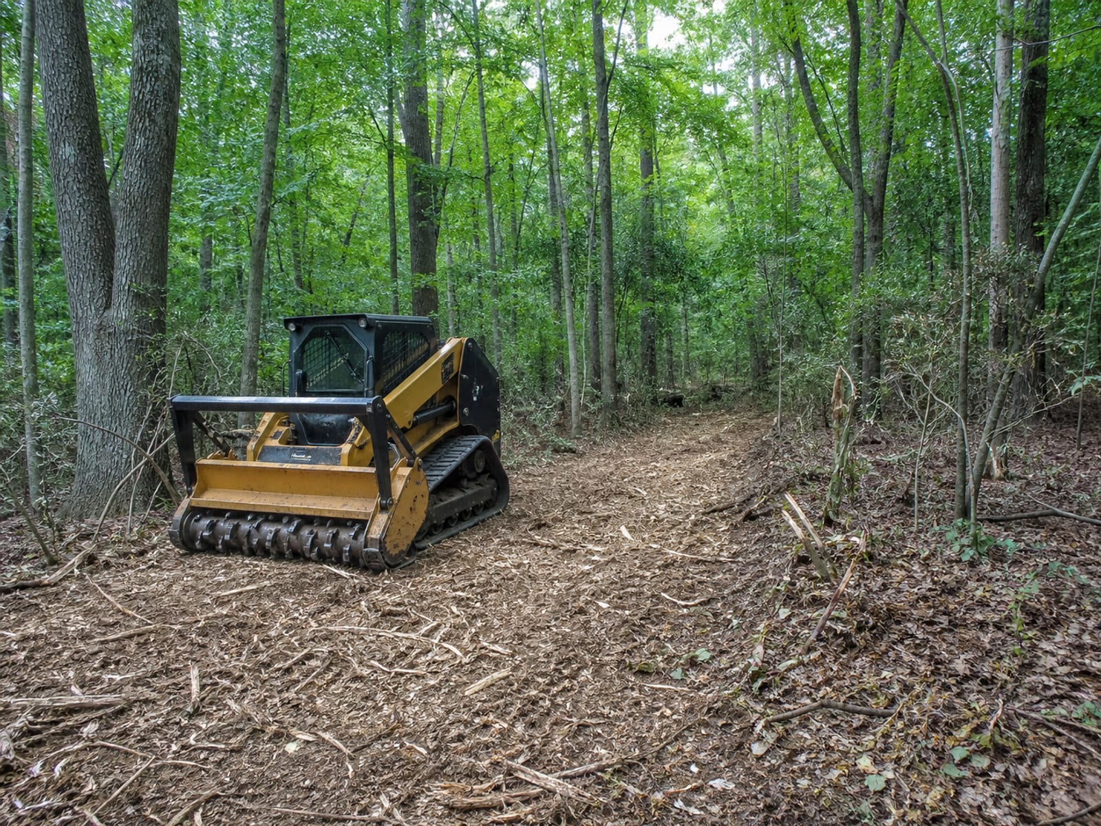 Compact yellow tracked machine with a mulching head parked idle beneath standing trees beside a roughly cleared strip the width of the head with shredded material thrown unevenly to both sides