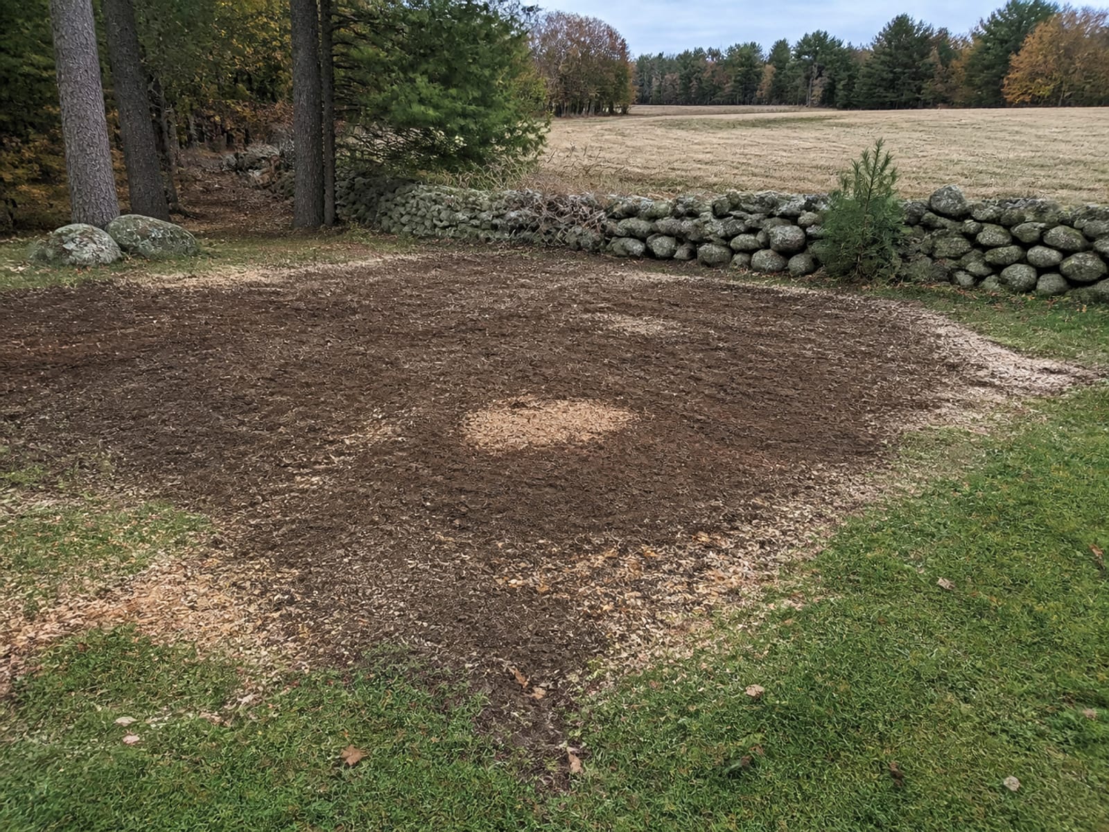 Cleared rural ground with stumps ground flush and soil raked level bordered by an open hayfield behind a dry stacked stone wall