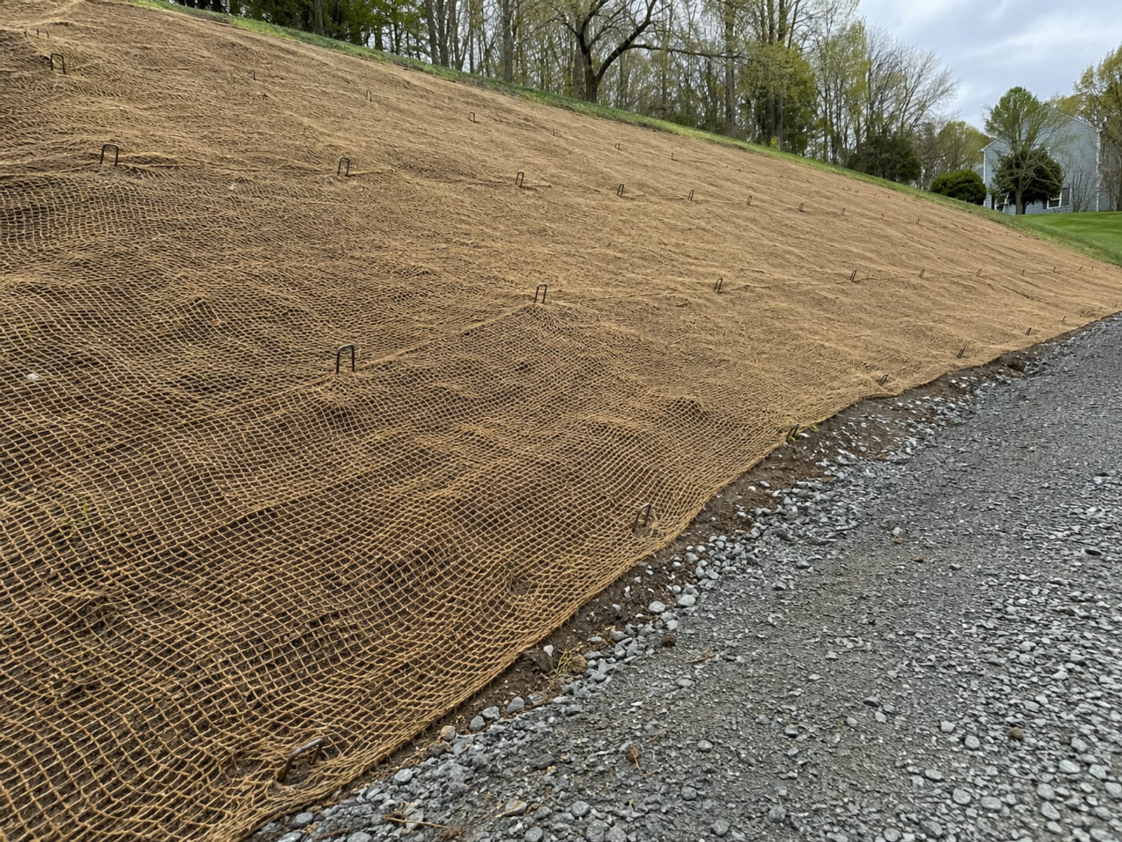 Erosion control biodegradable blanket staked over a freshly seeded sloped embankment beside a residential driveway in Connecticut