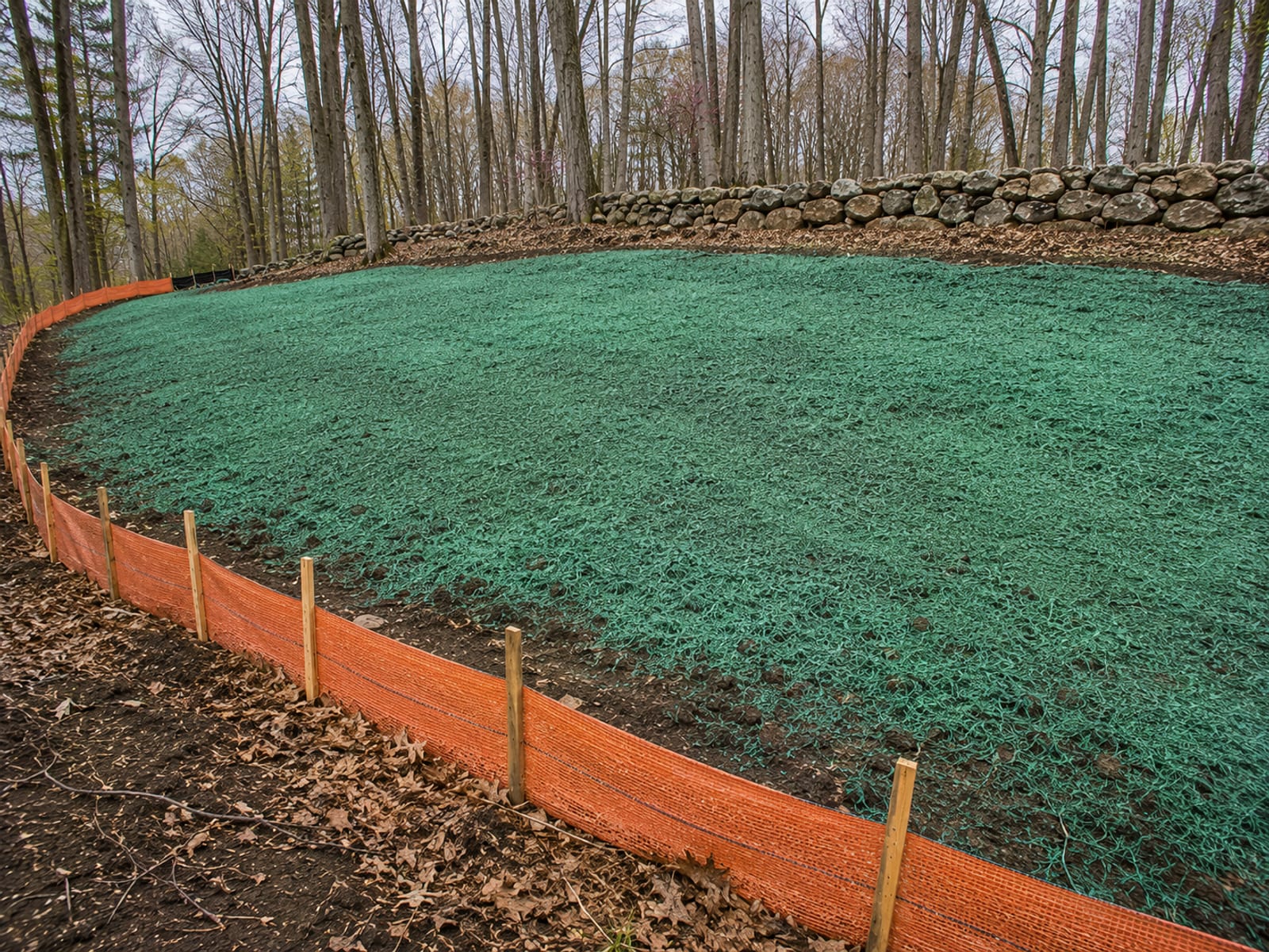 Freshly hydroseeded slope with green slurry coating and silt fence border on a Connecticut residential grade