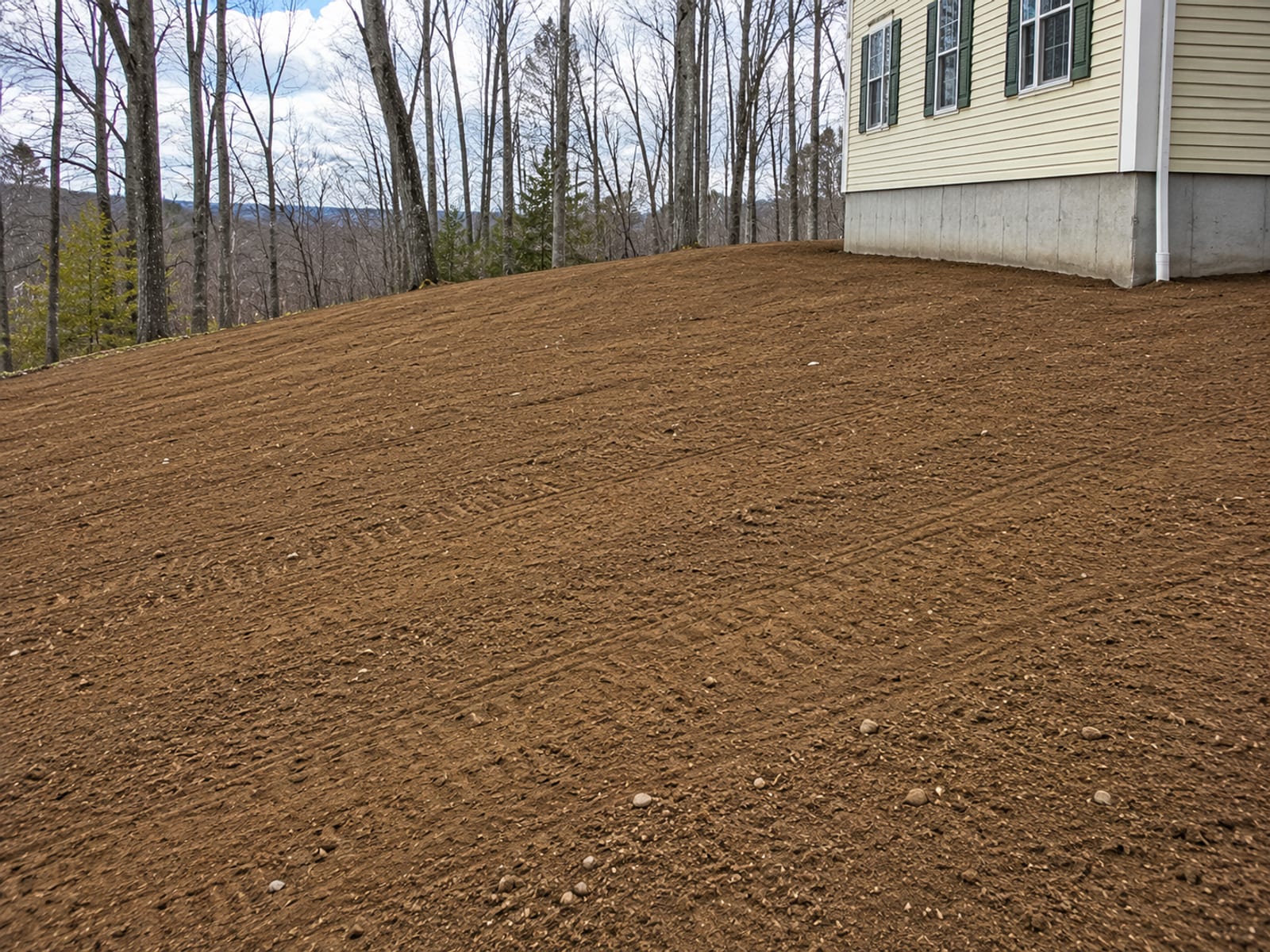 Freshly graded and smoothed soil on a sloped residential lot in Connecticut