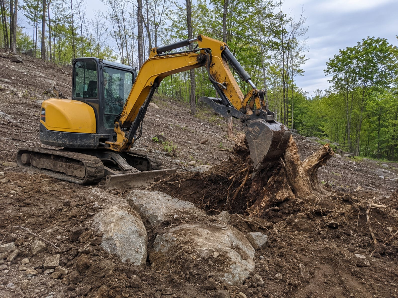 Compact yellow tracked excavator working on a sloped wooded residential lot in Connecticut uprooting a large tree stump from rocky soil
