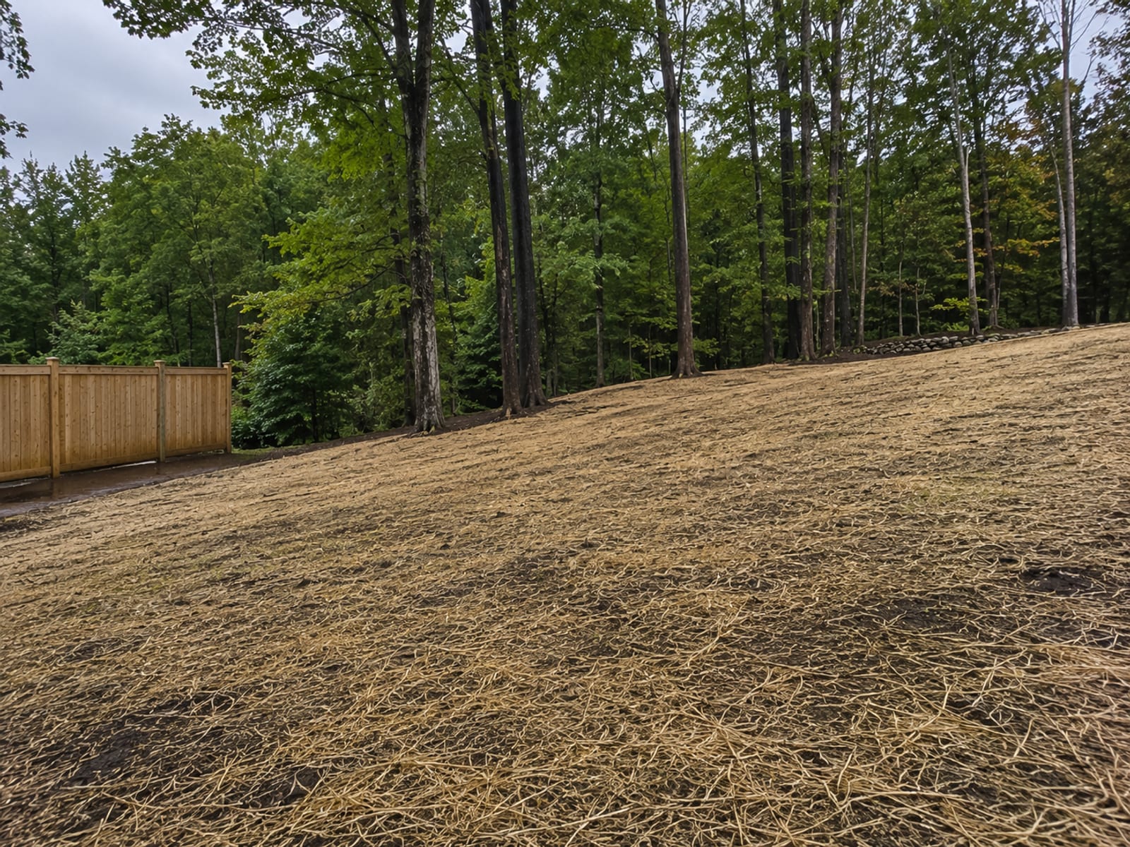 Perforated drain pipe surrounded by washed gravel in an open trench during a French drain installation on a Connecticut residential lot