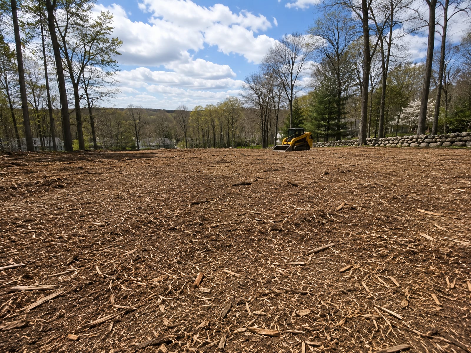Cleared wooded residential lot in Naugatuck CT with mulched ground cover and stumps removed revealing open sky