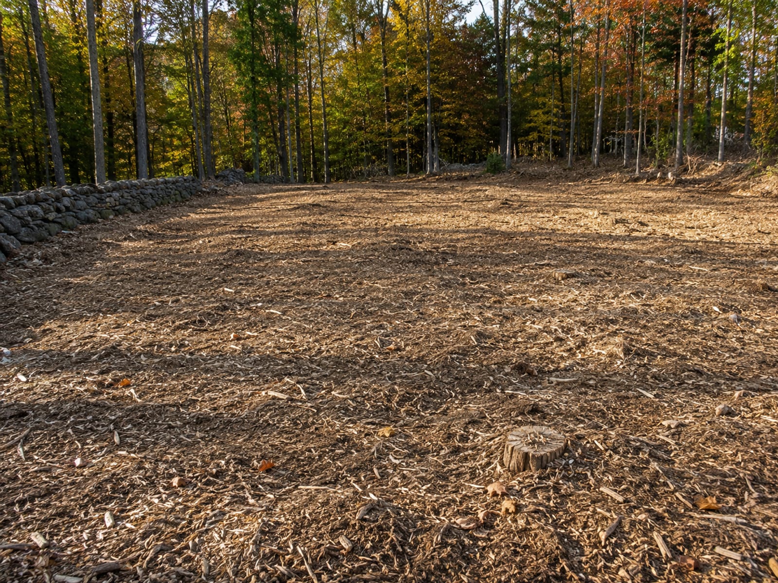 Freshly cleared wooded residential lot in Southbury Connecticut with mulched debris ground cover and stumps reduced to grade