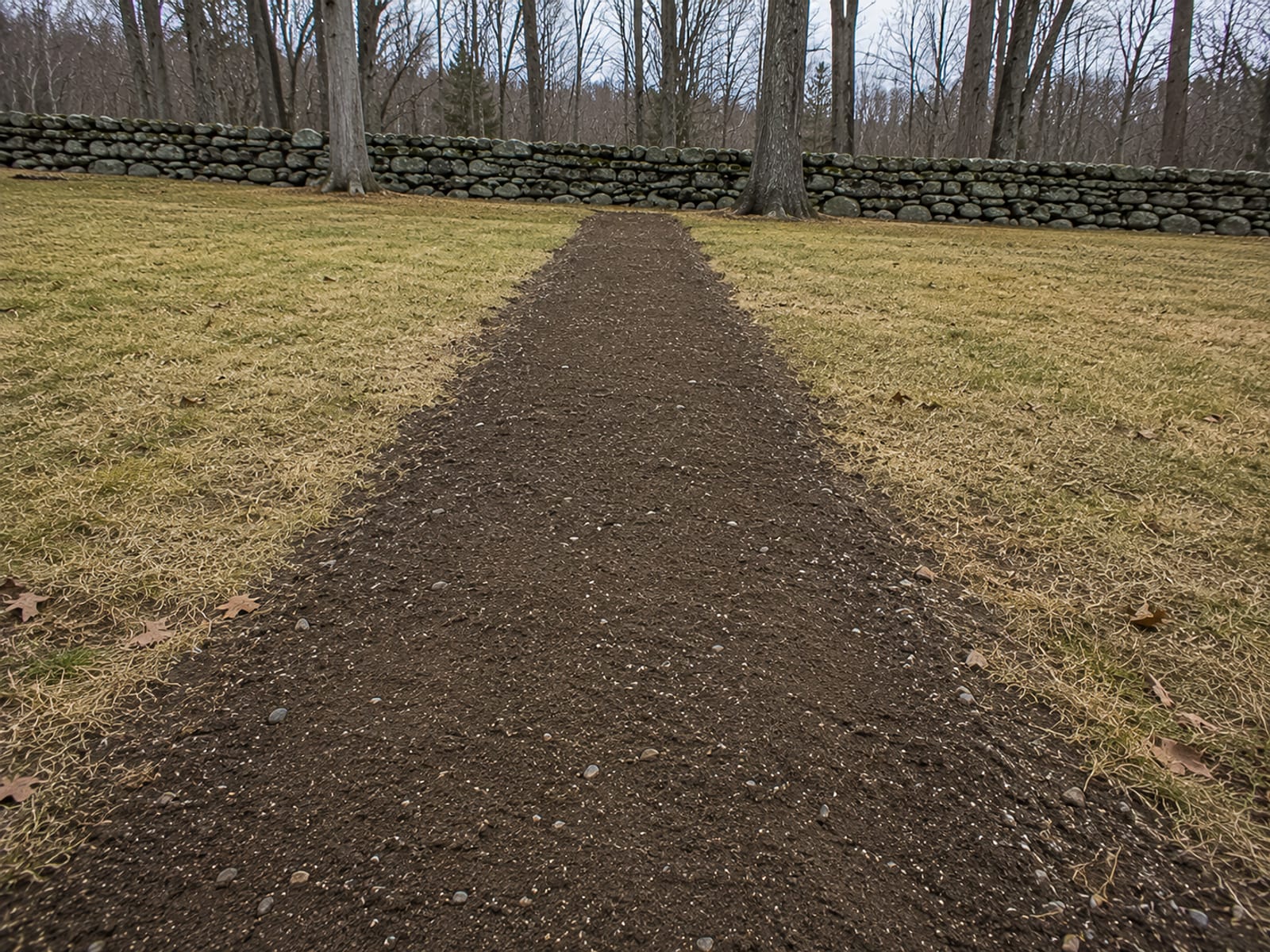 A neatly backfilled and compacted trench line across a residential lawn showing a clean soil seam in Connecticut
