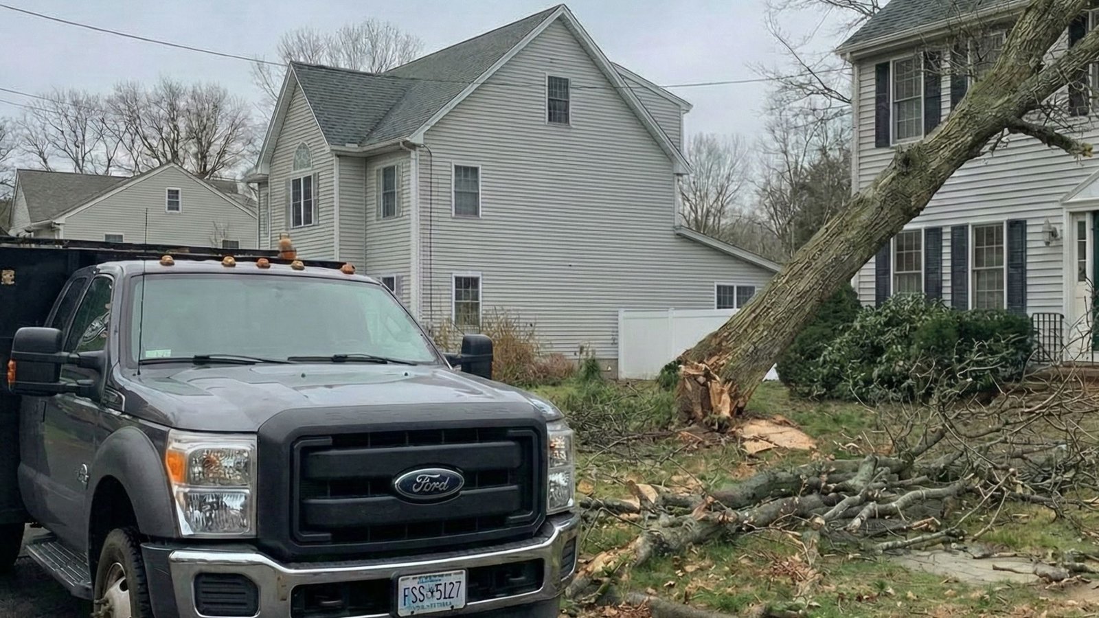 Crew removing a large storm-damaged tree from a residential property