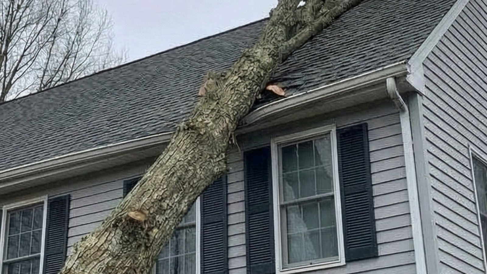 Large fallen tree resting on the roof of a two story residential home