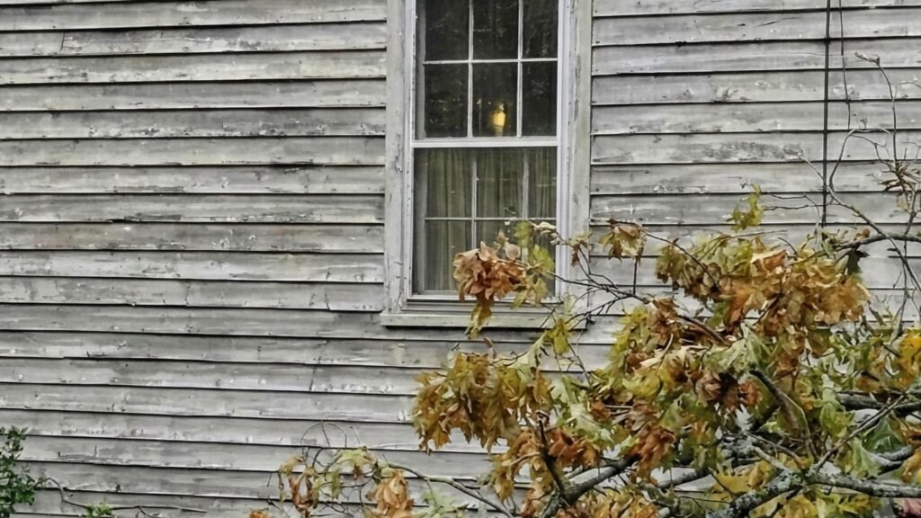 Fallen tree branches resting against residential home after storm damage